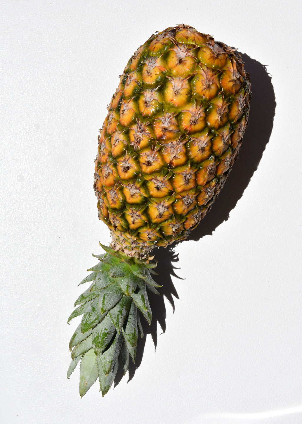 Melo Mood 🍍🧡🫧